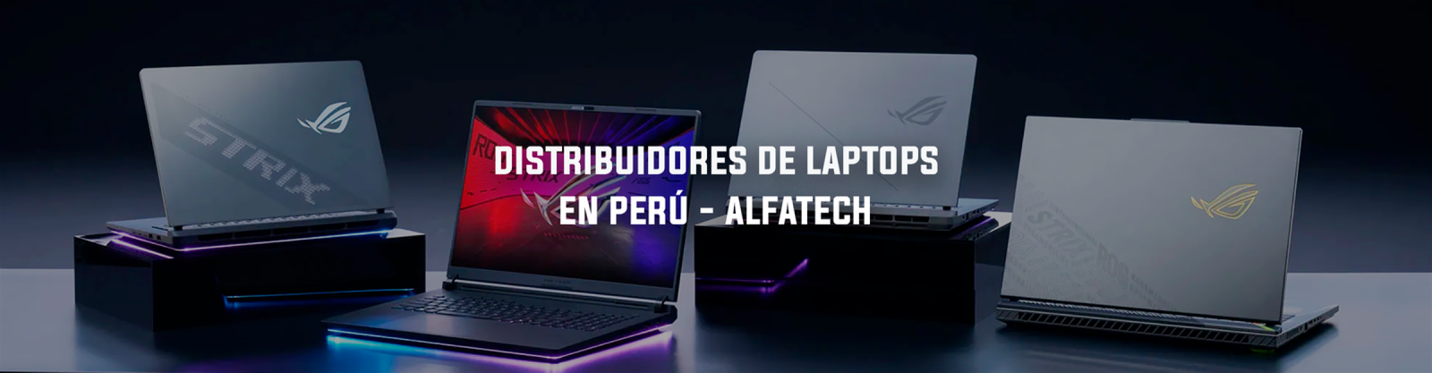 portada-distribuidor-mayorista.png